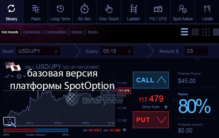 Базовая версия платформы SpotOption